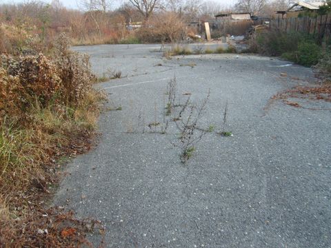 Foto 47